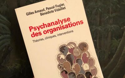 Psychanalyser les organisations.